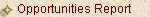 Opportunities Report
