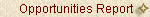 Opportunities Report