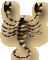 Wscorpio